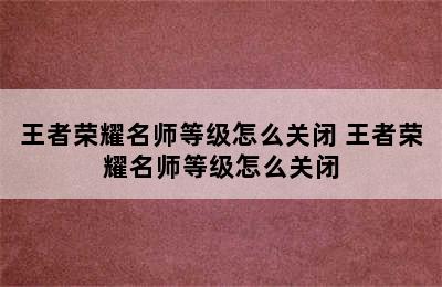 王者荣耀名师等级怎么关闭 王者荣耀名师等级怎么关闭